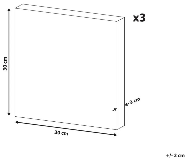 Set di 3 stampe su tela multicolore 30 x 30 cm MENAKA Beliani