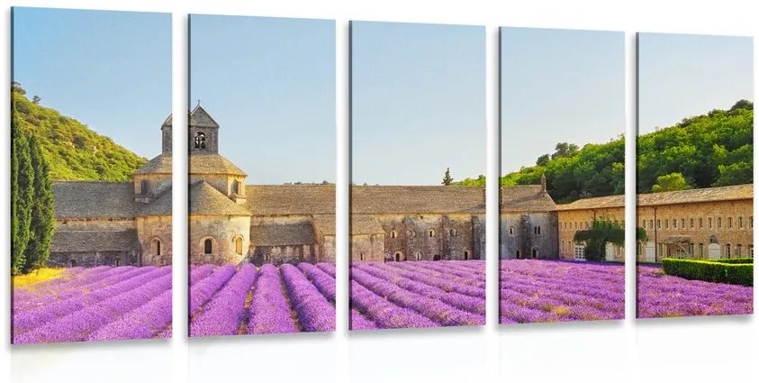 Quadri 5 pezzi – Provenza con campi di lavanda