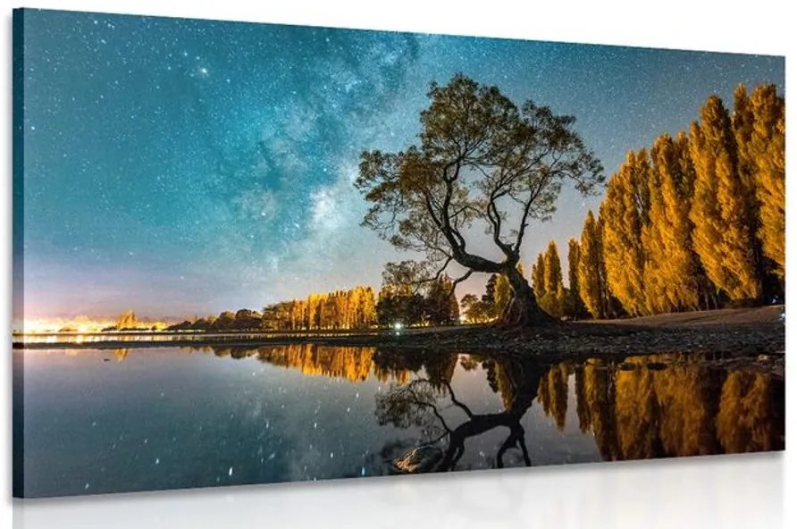 Quadro su tela – Albero sotto il cielo stellato
