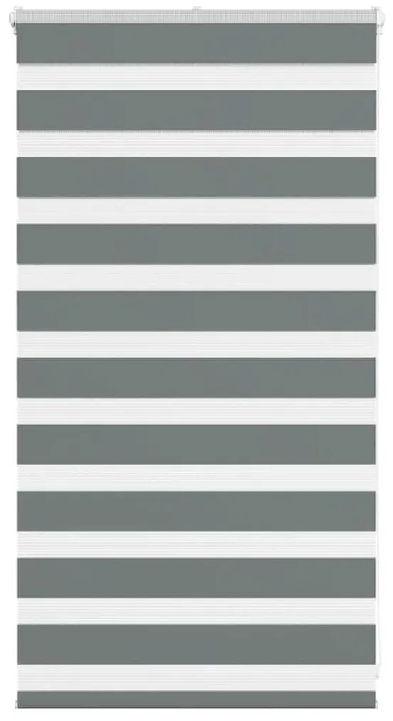 Tenda A Rullo Zebra Larghezza Tessuto 75,9 Cm Poliestere /