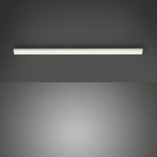 Paul Neuhaus 1125-21-A - Lampada LED AMON LED/6W/12/230V per sottoarmadio