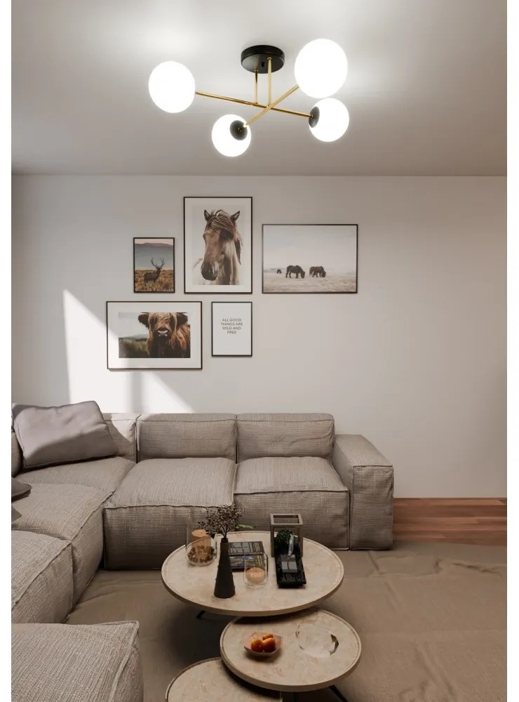 Lampadario da Soffitto MAGNUM 4 in Acciaio e Vetro 4xE14 Colore del corpo Nero e Oro