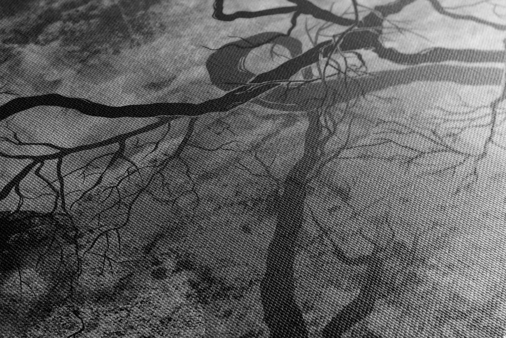 Stampa su tela – Alberi surrealisti in bianco e nero