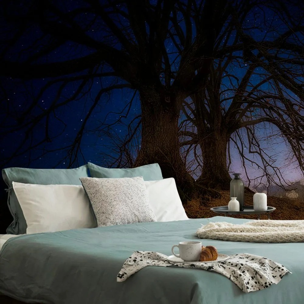 Carta da parati – Alberi nel paesaggio notturno
