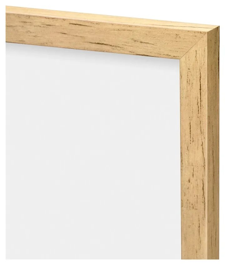 Dipinto 30x40 cm Grass – knor