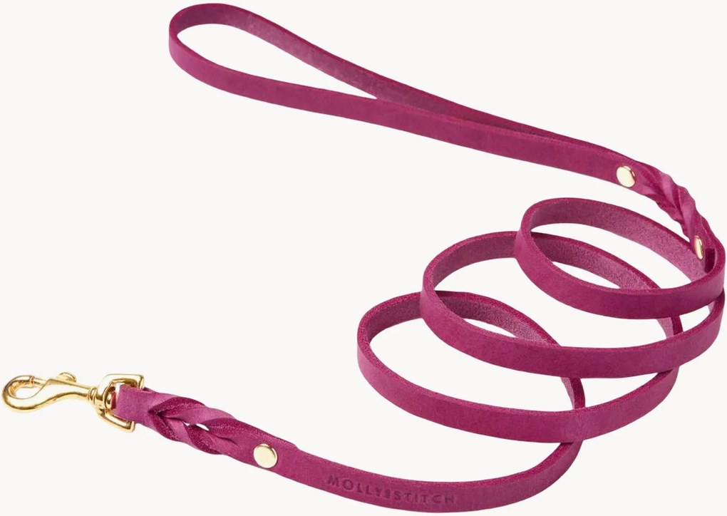 Guinzaglio per cani in pelle Classic, varie misure