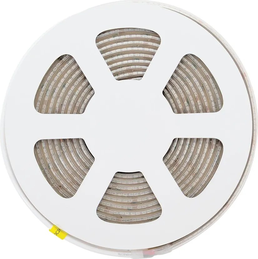 Striscia LED CCT Bianco Variabile 24V 20W/m Professionale - IP67- 5 metri