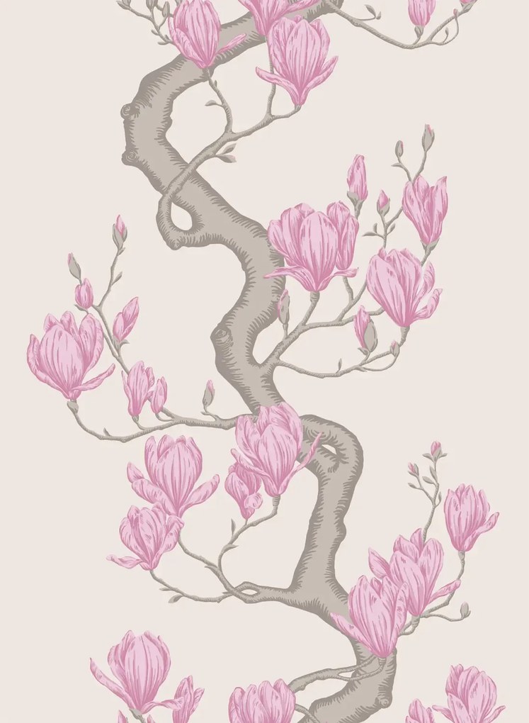 Cole & Son Carta da parati Magnolia Tree - Parchment and Soft Fuchsia