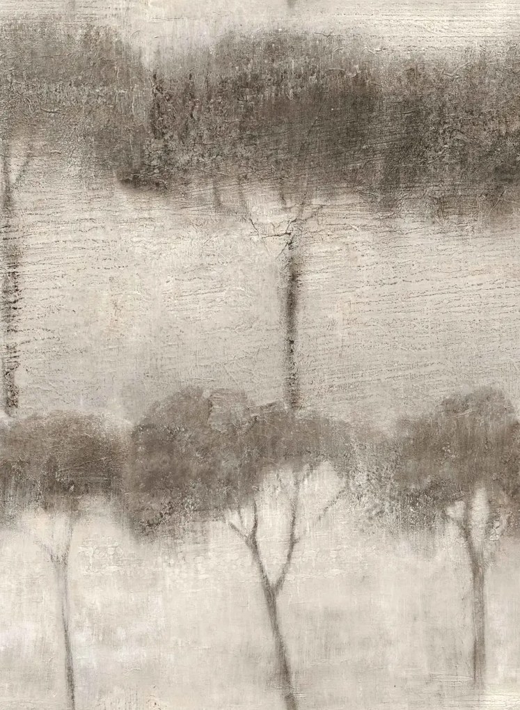 Coordonne Carta da parati Ourika Trees - Grey