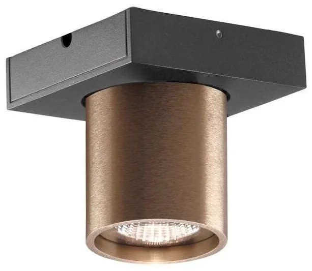 Light Point - Focus 1 LED Plafoniera 2700K Rose Gold LIGHT-POINT