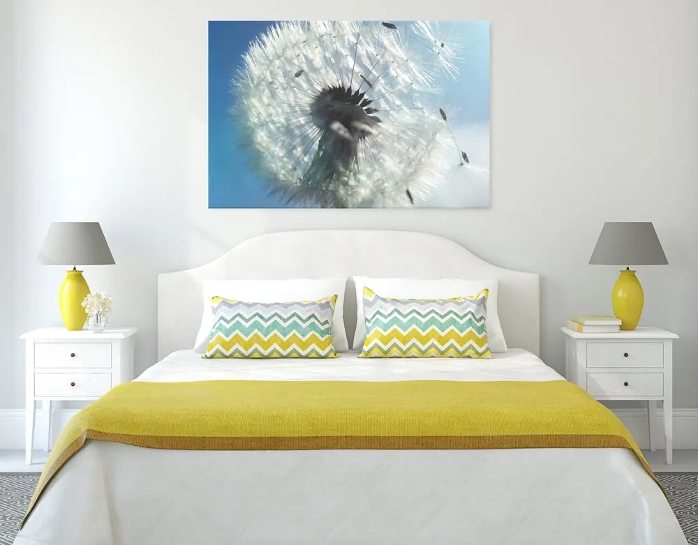 Quadro su tela – Dettaglio del soffione