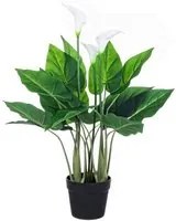 Pianta con Vaso 15Foglie X3F H68 (2 Pezzi) - CALLA