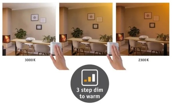 Paulmann 79794 - Plafoniera LED/13W CARPO 230V 2300/2500/3000K