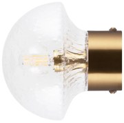 Globen Lighting - Fungo 16 Applique da Parete/Plafoniera IP44 Trasparente/Spazzolato Ottone Glob