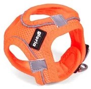 Imbracatura per Cani Gloria Trek Star 32,8-35,4 cm 45-47 cm Arancio M