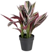 Pianta Decorativa 44 x 39 x 48 cm Rosa Verde PVC