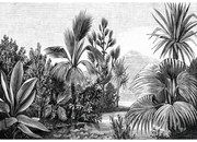 Fotomurale Paesaggio tropicale, bianco e nero