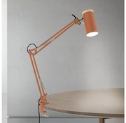 Orion - Lampada da tavolo con morsetto GILI 1xE27/40W/230V color mattone