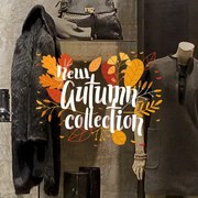 Nuova collezione fantasia autunnale | Vetrofania