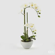 EDG - Enzo De Gasperi Pianta artificiale con vaso Orchidea