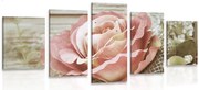 Quadri 5 pezzi – Rosa vintage elegante