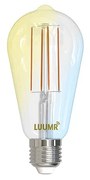 LuumrLuumr - Lampadina 7W ST64 Zigbee/Tuya/Philips Hue E27