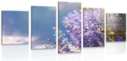 Quadri 5 pezzi – Giardino di lavanda