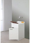 Lavatoio a Terra 45x50 Cm Un'Anta Con Vasca Sifone e Tavoletta Feridras "Stella" Bianco Lucido