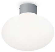 Plafoniera Moderna Clio Alluminio Grigio 1 Luce E27