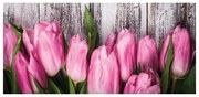 Stampa su tela Pink tulips, multicolore 90 x 190 cm