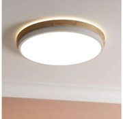 Brilliant - Plafoniera LED dimmerabile BAARLO LED/24W/230V diametro 35 cm bianco
