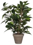 Pianta Decorativa Mica Decorations 40 x 30 cm Ceramica Verde PVC Ficus