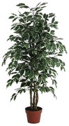 Pianta artificiale in vaso di plastica, ficus H 125 cm, Ø 17 cm