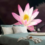 Carta da parati – Fior di loto rosa