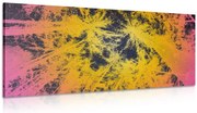 Quadro su tela – Tramonto nella foresta tropicale