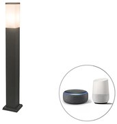 Lampada da esterno intelligente grigio scuro 80 cm incl. Wifi P45 - Malios