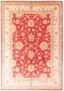 Ziegler Tappeto 170x240 (Afghanistan)