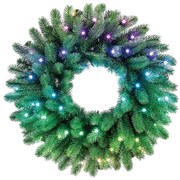 Twinkly GD20P4425P00 - LED RGB Dimmerabile Ghirlanda di Natale 50xLED diametro 60 cm Wi-Fi