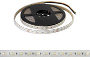Striscia LED Professional - RGB + CCT (bianco Variabile) - IP67 - 20W/m - 5m - 24V Colore RGB+CCT