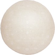 Tabriz Tappeto 270 x 270 (Indian) Annodato A Mano