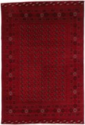 Afghan Tappeto 200x290 (Afghanistan) Annodato A Mano