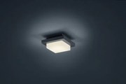 Applique a parete led hondo quadrata 228960142 antracite 14x14cm