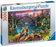 Puzzle Ravensburger Tigers in the lagoon 3000 Pezzi