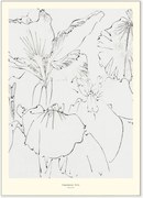 Poster Japanese Iris