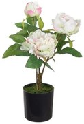 Pianta Decorativa 24 x 20 x 38 cm Crema Peonia