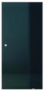 Anta per porta scorrevole Fumè satin in vetro L 96 x H 215 cm sp.8 mm reversibile