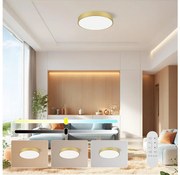 Immax NEO 07292L - LED+CCT dimmerabile plafoniera SEMPLICI 36W/230V Ø 40 cm + telecomando