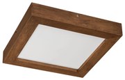 Brilagi-Luce LED dimmerabile WOODY FRAME LED/24W/230V quercia 30x30 cm IP44 + +TC
