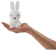 Mr. Maria - Miffy Bundle Of Light Mr. Maria