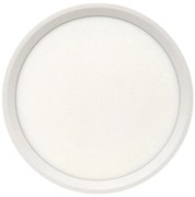 Plafoniera LED 18W/230V 3000/4000/6500K Ø 23 cm bianca